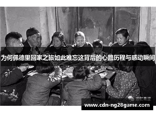 为何佩德里回家之旅如此难忘这背后的心路历程与感动瞬间