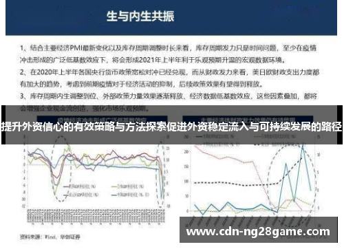 提升外资信心的有效策略与方法探索促进外资稳定流入与可持续发展的路径