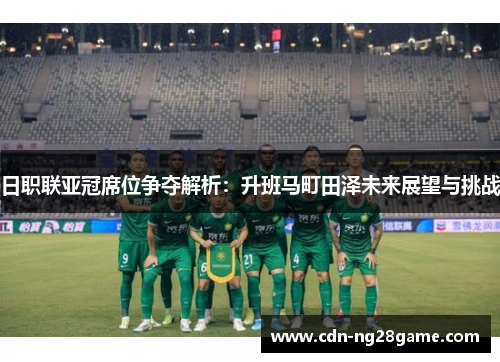 日职联亚冠席位争夺解析：升班马町田泽未来展望与挑战